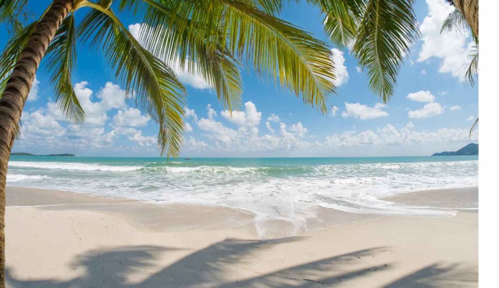 Sembrano Photoshop, ma sono reali | 5 SPIAGGE SARDE dove l’acqua è così trasparente che ti senti in colpa a sporcarla con un tuffo