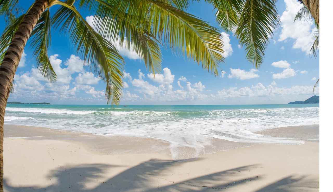 Spiagge tropicali