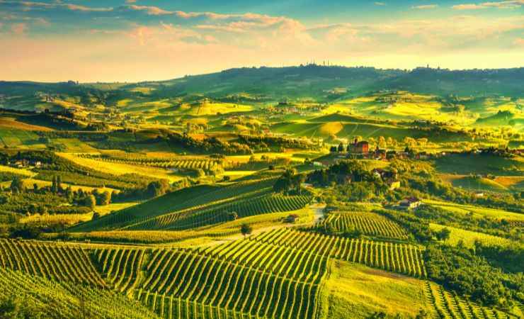 Le Langhe