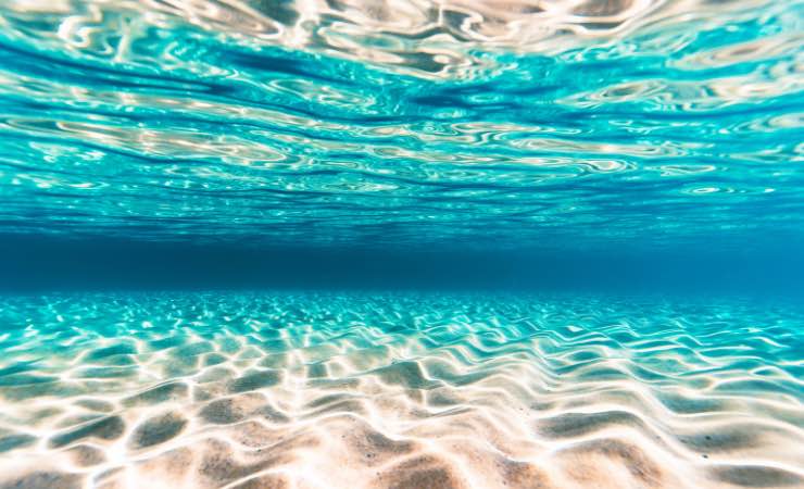 Un mare limpido e pulito