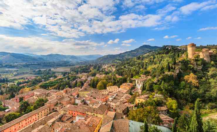 Borgo olio d'oliva