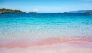 La spiaggia rosa di Komodo