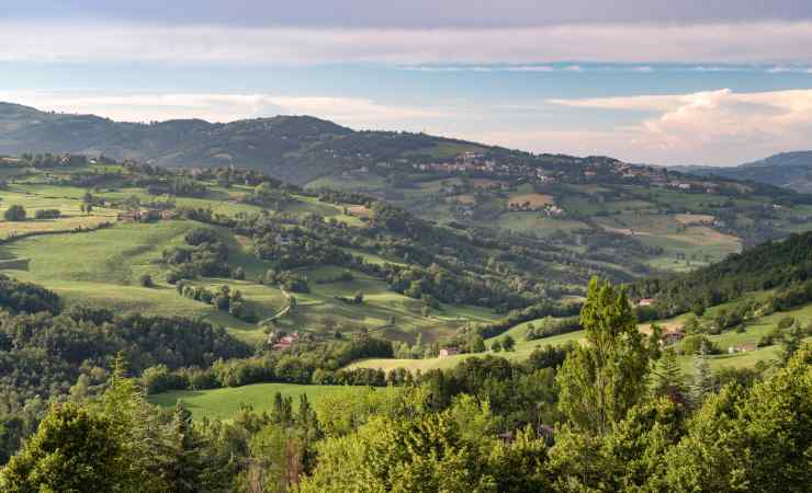 Mare Verde Italia