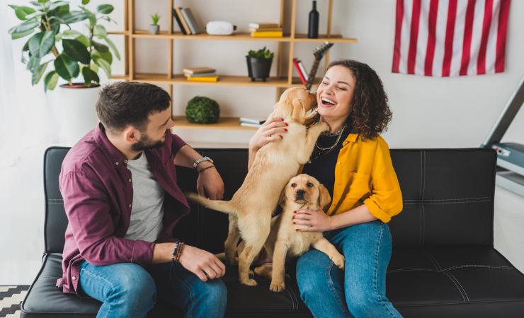 animali domestici in famiglia