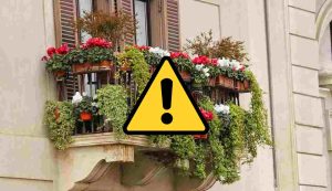 Balcone fiorito (Pixabay foto) - www.cosediviaggio.it