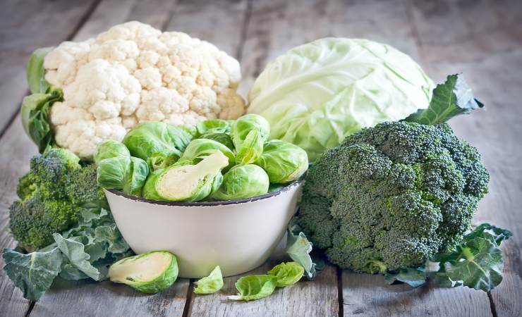 cavoli cavolfiori verza