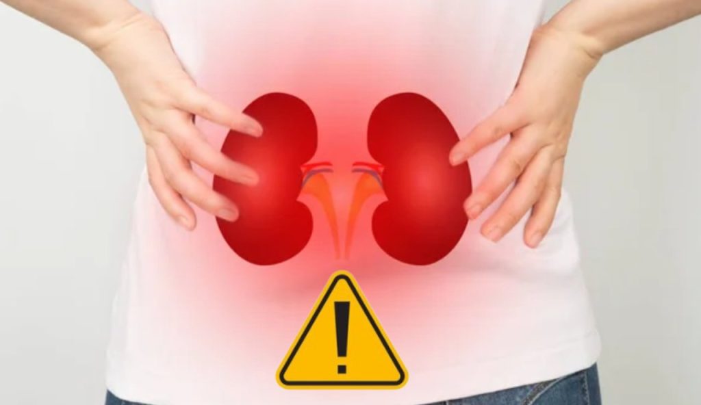 INTEGRATORI VIETATI se soffri di questa patologia, la rivelazione degli esperti: “Danni irreversibili ai reni” | La scoperta cambia tutto
