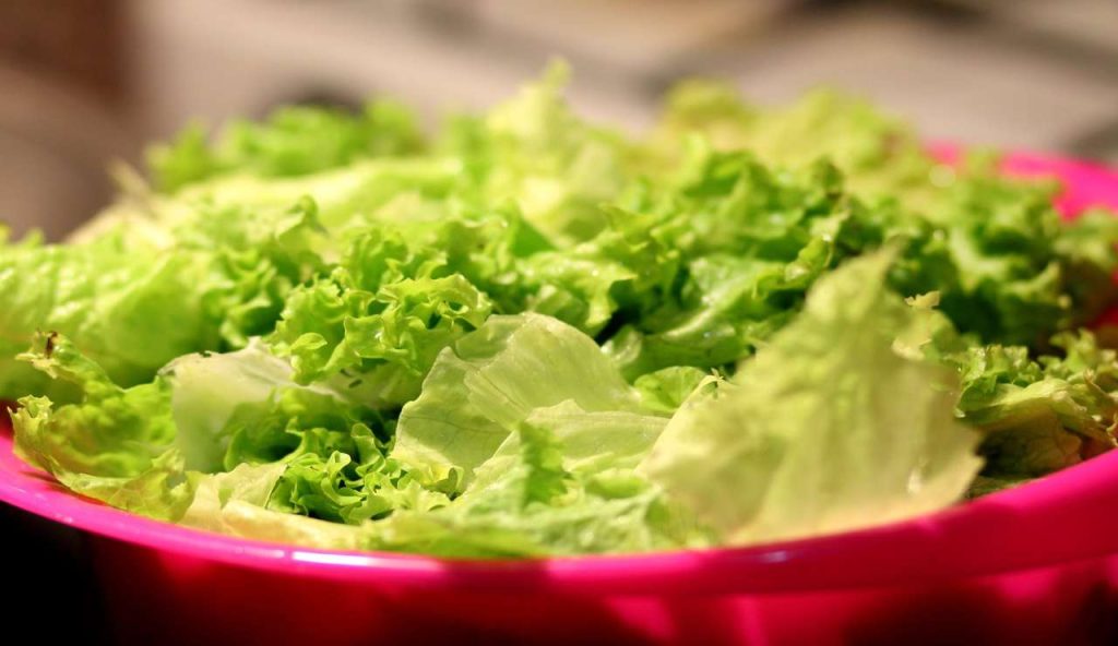 INSALATA, fa davvero bene alla linea? La scoperta choc del dietista: “Può appesantire” | Ribaltati tutti i crismi della nutrizione
