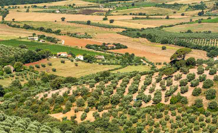 Maremma toscana