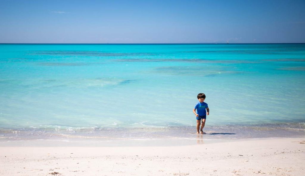In Toscana la SPIAGGIA più’ PERICOLOSA d’Italia: chi fa il bagno qui sguazza nei veleni chimici |Persino i pesci hanno dato forfait