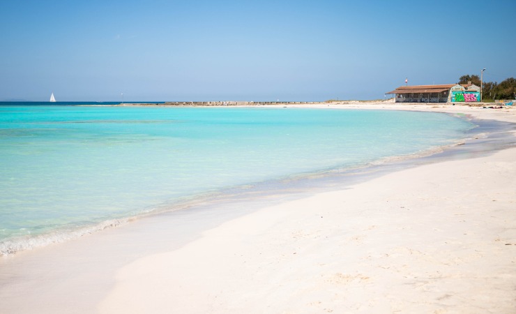 rosignano spiaggia