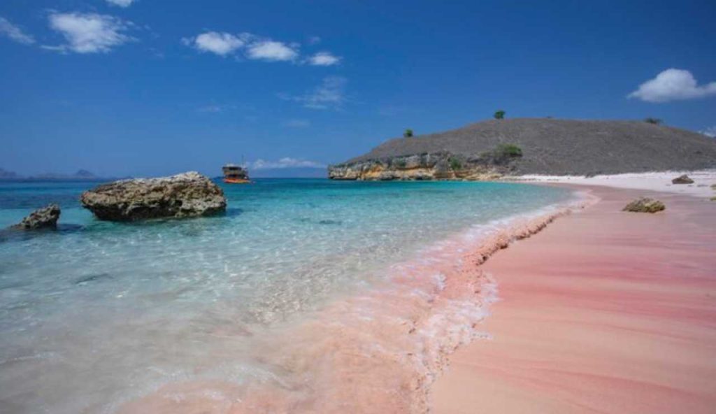 Quest’estate tutti ad ammirare la SPIAGGIA di BARBIE: solo in Italia il miracolo naturale dove il rosa trionfa | Belpaese 1 – Disney 0
