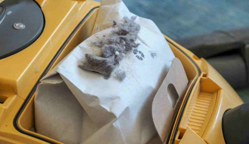 Aspirapolvere, VIETATO GETTARE I SACCHETTI PIENI | Mai più nella pattumiera: da oggi si smaltiscono così