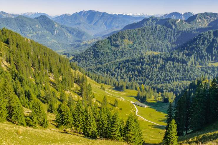 Montagna 